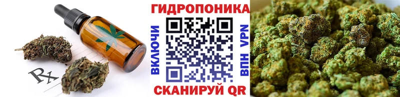 Canna-Cookies конопля  Высоцк 