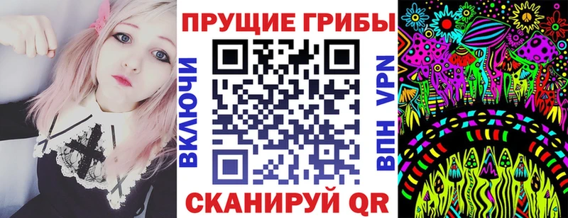 кракен ТОР  купить  цена  Высоцк  Галлюциногенные грибы Magic Shrooms 