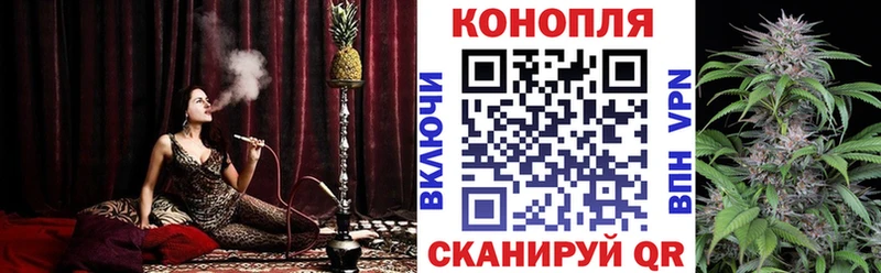 где купить наркоту  Высоцк  Бошки Шишки White Widow 